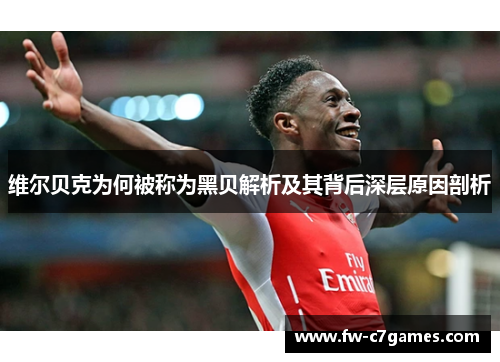 维尔贝克为何被称为黑贝解析及其背后深层原因剖析
